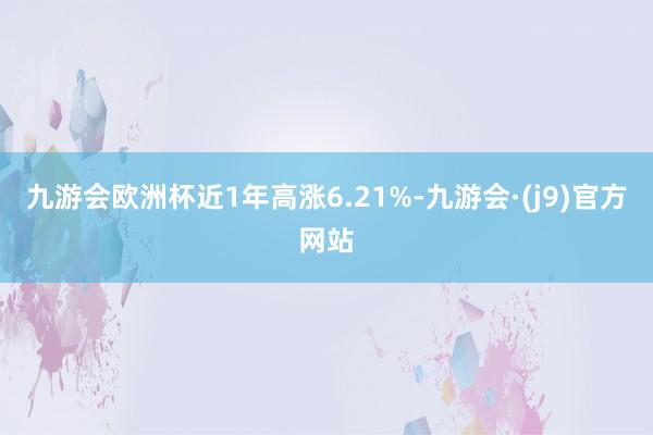 九游会欧洲杯近1年高涨6.21%-九游会·(j9)官方网站