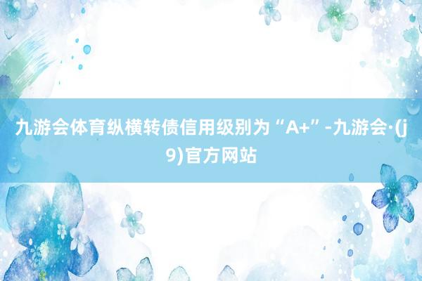 九游会体育纵横转债信用级别为“A+”-九游会·(j9)官方网站