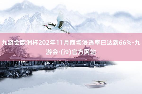 九游会欧洲杯202年11月商场浸透率已达到66%-九游会·(j9)官方网站