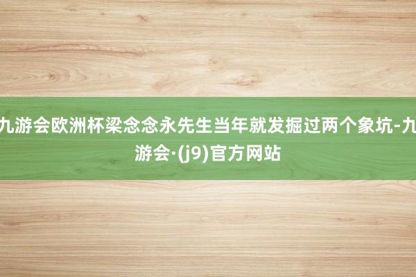 九游会欧洲杯梁念念永先生当年就发掘过两个象坑-九游会·(j9)官方网站