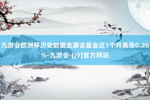 九游会欧洲杯历史数据走漏该基金近1个月高涨0.26%-九游会·(j9)官方网站