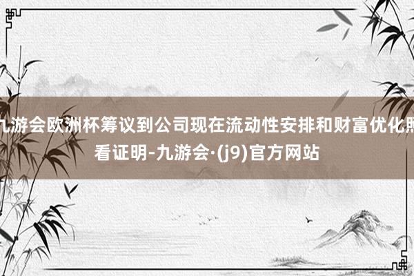 九游会欧洲杯筹议到公司现在流动性安排和财富优化照看证明-九游会·(j9)官方网站