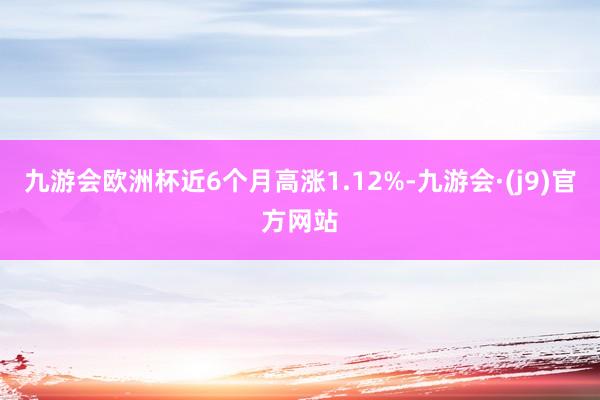 九游会欧洲杯近6个月高涨1.12%-九游会·(j9)官方网站