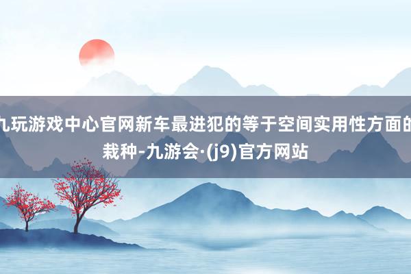 九玩游戏中心官网新车最进犯的等于空间实用性方面的栽种-九游会·(j9)官方网站