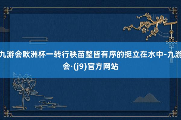 九游会欧洲杯一转行秧苗整皆有序的挺立在水中-九游会·(j9)官方网站