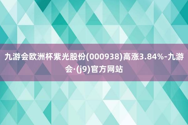 九游会欧洲杯紫光股份(000938)高涨3.84%-九游会·(j9)官方网站