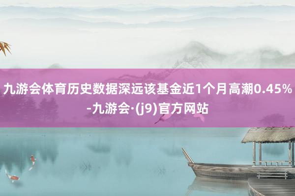 九游会体育历史数据深远该基金近1个月高潮0.45%-九游会·(j9)官方网站