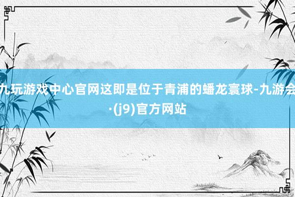 九玩游戏中心官网这即是位于青浦的蟠龙寰球-九游会·(j9)官方网站