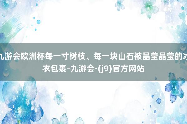 九游会欧洲杯每一寸树枝、每一块山石被晶莹晶莹的冰衣包裹-九游会·(j9)官方网站