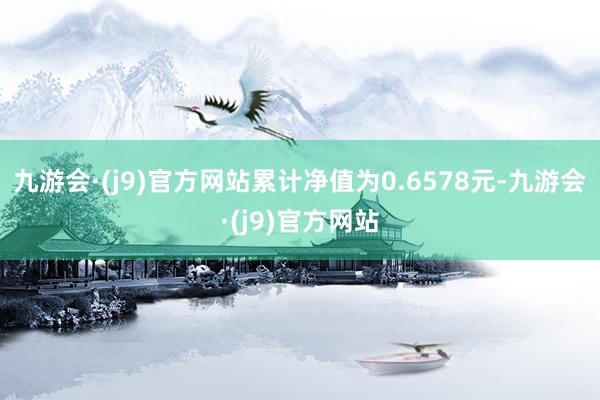 九游会·(j9)官方网站累计净值为0.6578元-九游会·(j9)官方网站